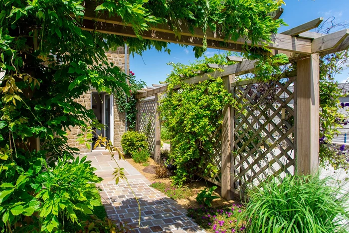 Pérgola con plantas